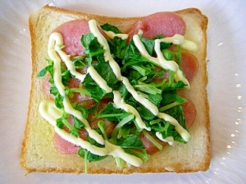 ミニ食パンで☆　あらびきソーセージと豆苗のトースト